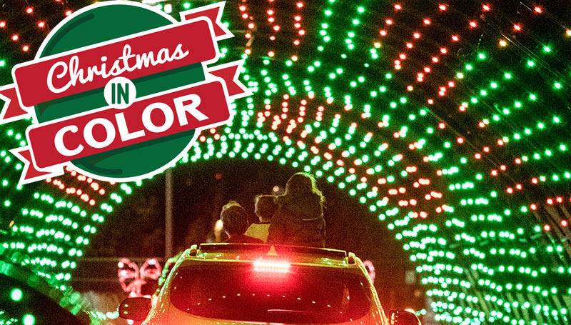 Children peeking out a car's sunroof for Christmas in color