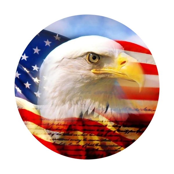 American Flag, Eagle, American military